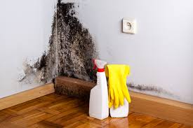 Mold Remediation for Vacation Homes in Medina, NY